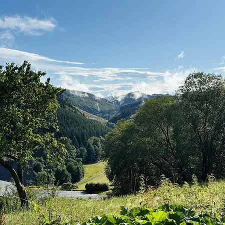 Apartment Hans Im Glueck *
